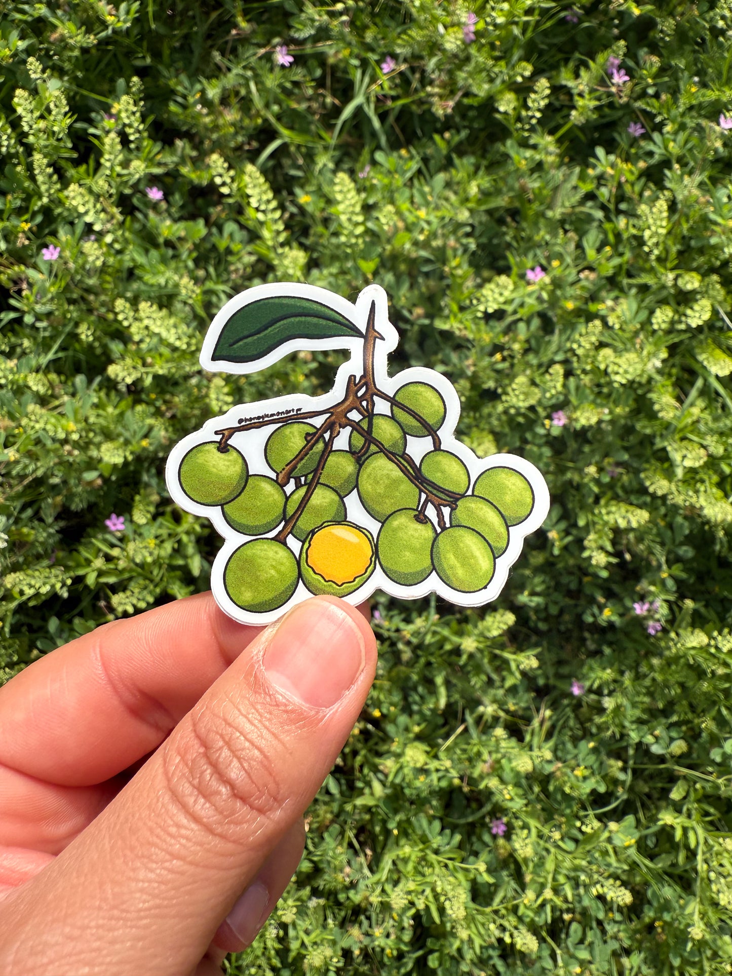 Puerto Rico 5-Sticker Pack - Yo soy Boricua!