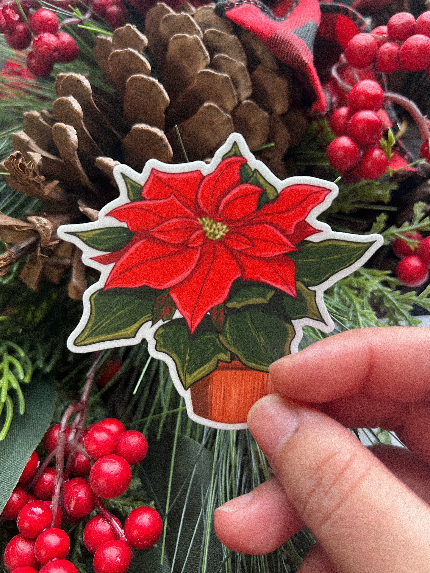 Festive Christmas Poinsettia Flower Sticker - Holiday Decor, Pascuas Navideñas⎪Stickers Boricuas