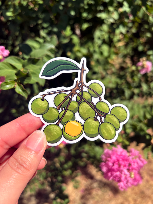 Puerto Rican quenepa sticker⎪Stickers Boricuas⎪ Vibrant Fruit Illustration, Tropical fruits stickers