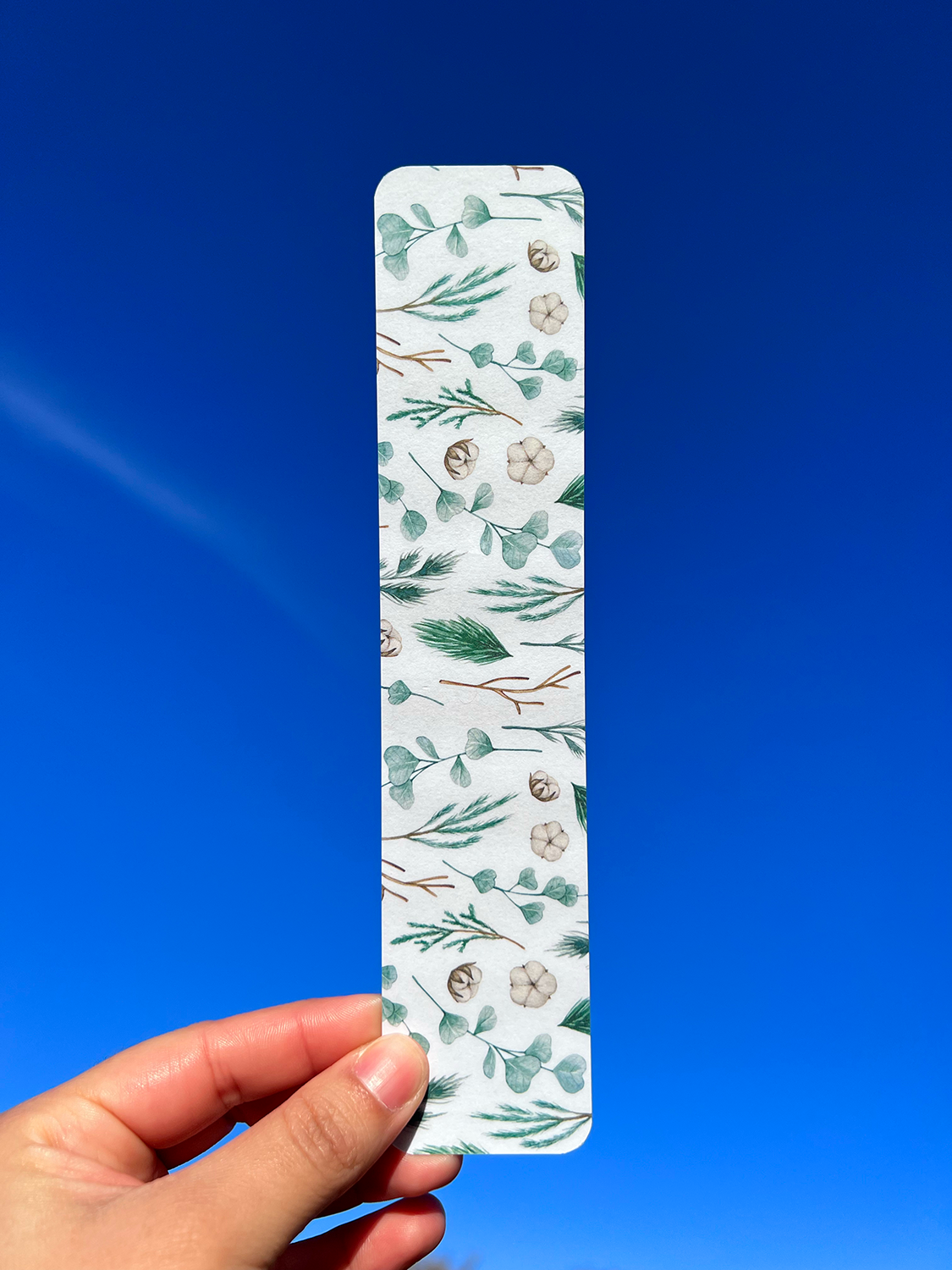 Bookmark 5-Pack⎪Botanical Bookmark, watercolor art bookmark, flower bookmark, fungi bookmark